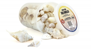 Seashells - 5 Oz White Mix